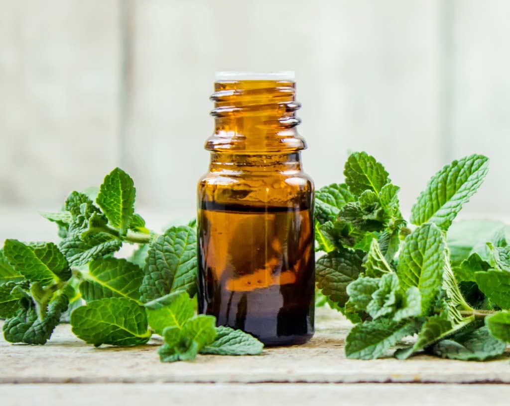 Peppermint Oil