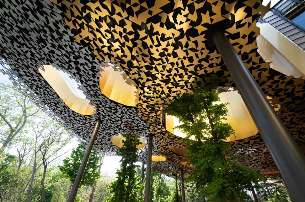Examples of Bio-Inspired Designs in Architecture